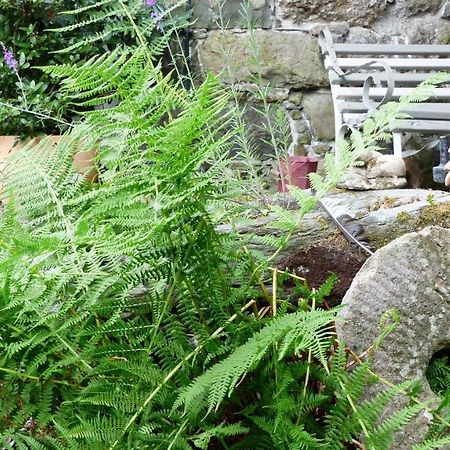 Apartament Dolifor Llanwrthwl Zewnętrze zdjęcie