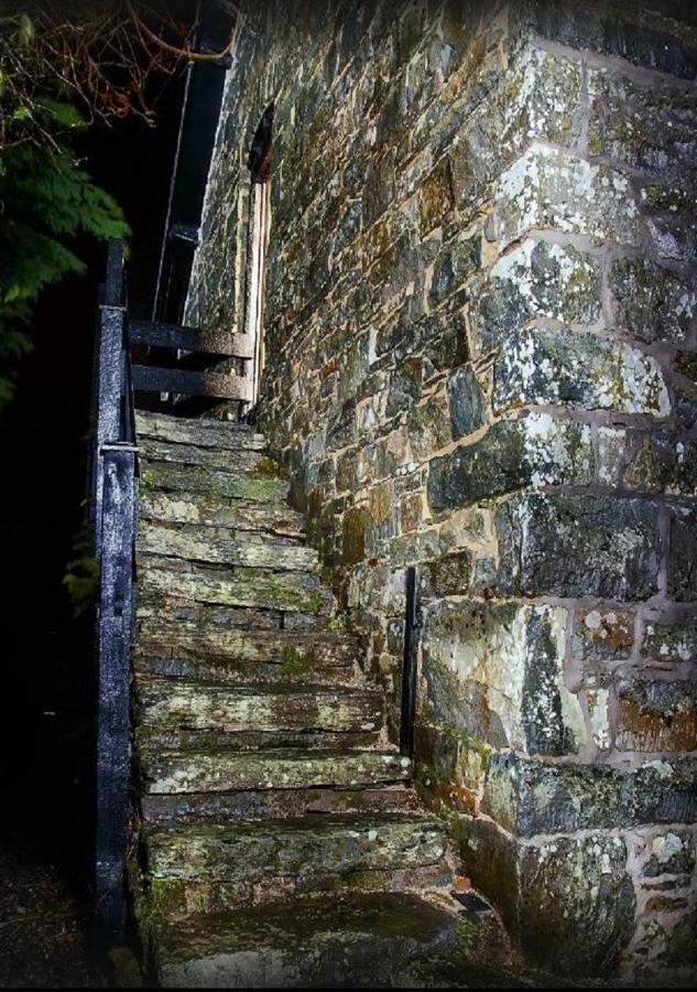 Apartament Dolifor Llanwrthwl Zewnętrze zdjęcie
