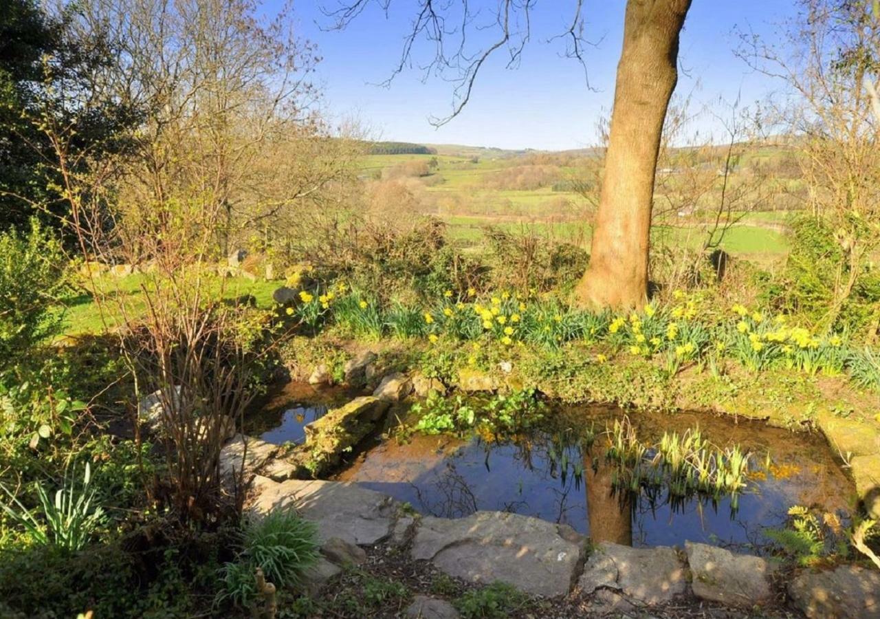 Apartament Dolifor Llanwrthwl Zewnętrze zdjęcie